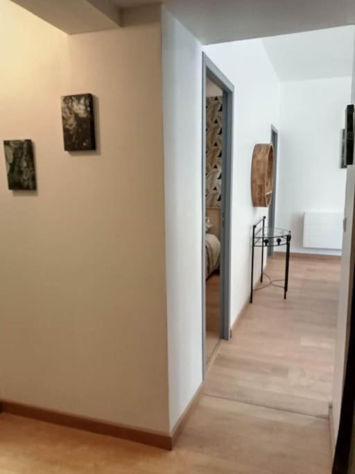 Gonnelles Appartement T3 Centre Ville Rdc D Agen Eksteriør billede